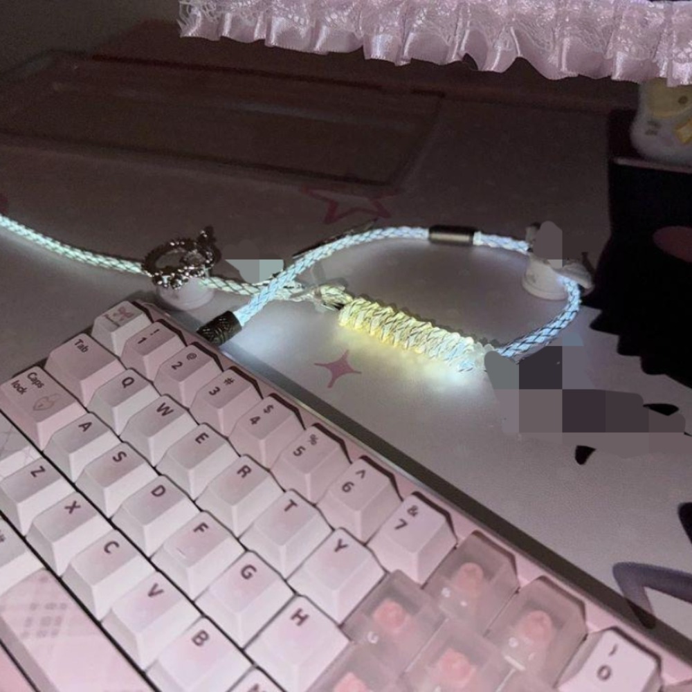 Luminous Aviation Plug Cable C - đánh giá và giá Decor Lighting Returns